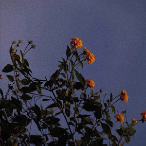 同性男男国产tube
